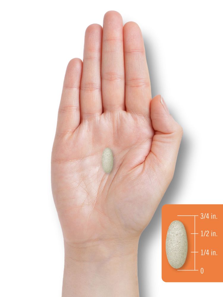 A close-up of a caplet measuring two-thirds of an inch long, displayed on a hand-held scale for accurate measurement.
