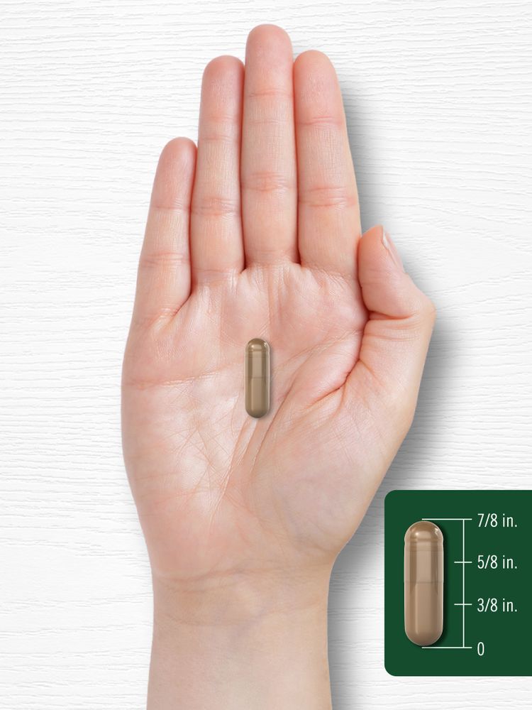 Guanábana | 160 Cápsulas