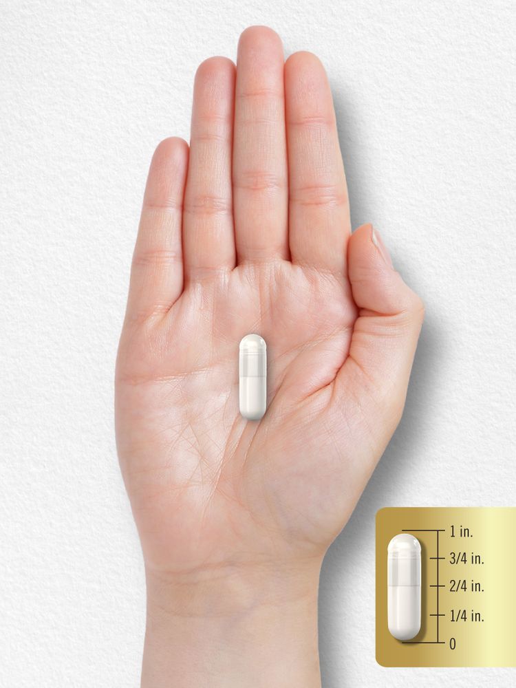 Complexe L-Arginine L-Citrulline 2250mg par portion | 240 Capsules