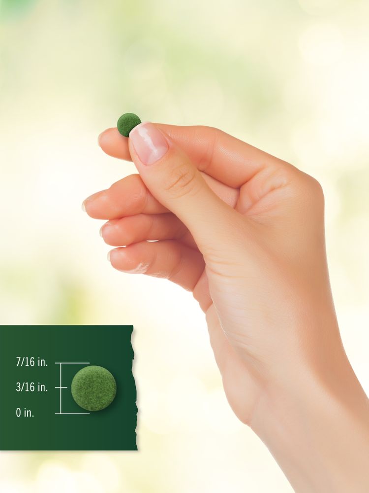 Chlorella Blue Green Algae 250mg | 200 Tablets