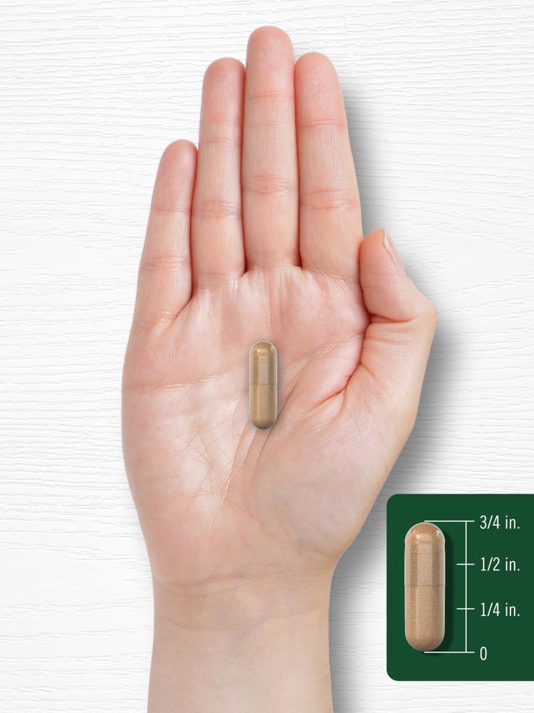 Vitex 820mg | 150 Kapseln