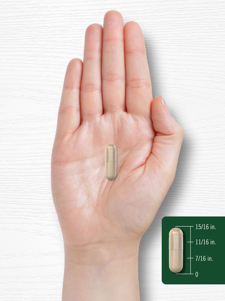 Ashwagandha 3000mg por porción | 300 Cápsulas