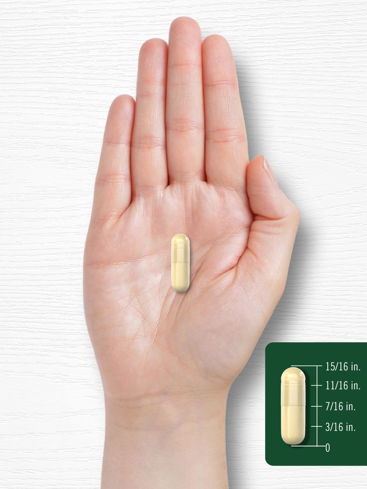 Isoflavonas de Soya 1500mg por porción | 200 Cápsulas