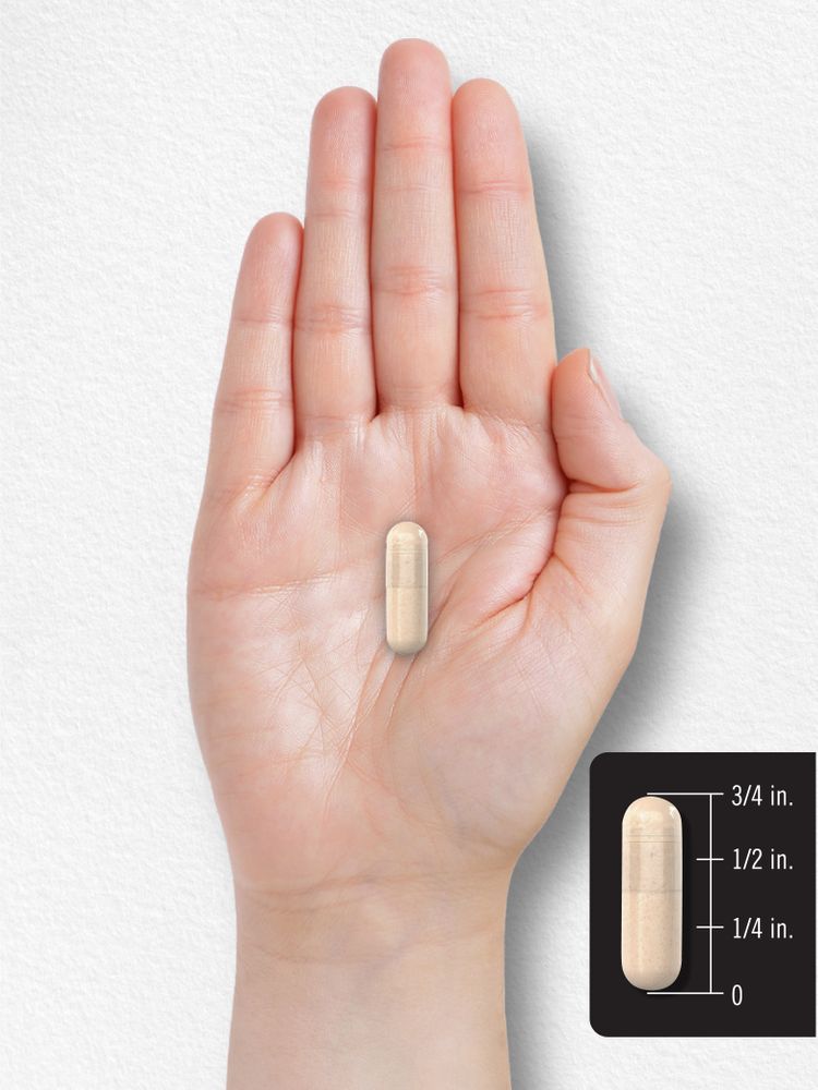 Chrome GTF 600mcg par portion | 250 Gélules