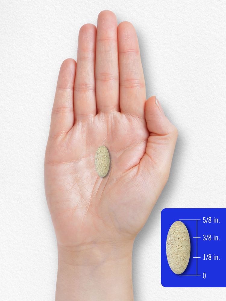 Vitamin B-Complex with Vitamin C | 180 Caplets