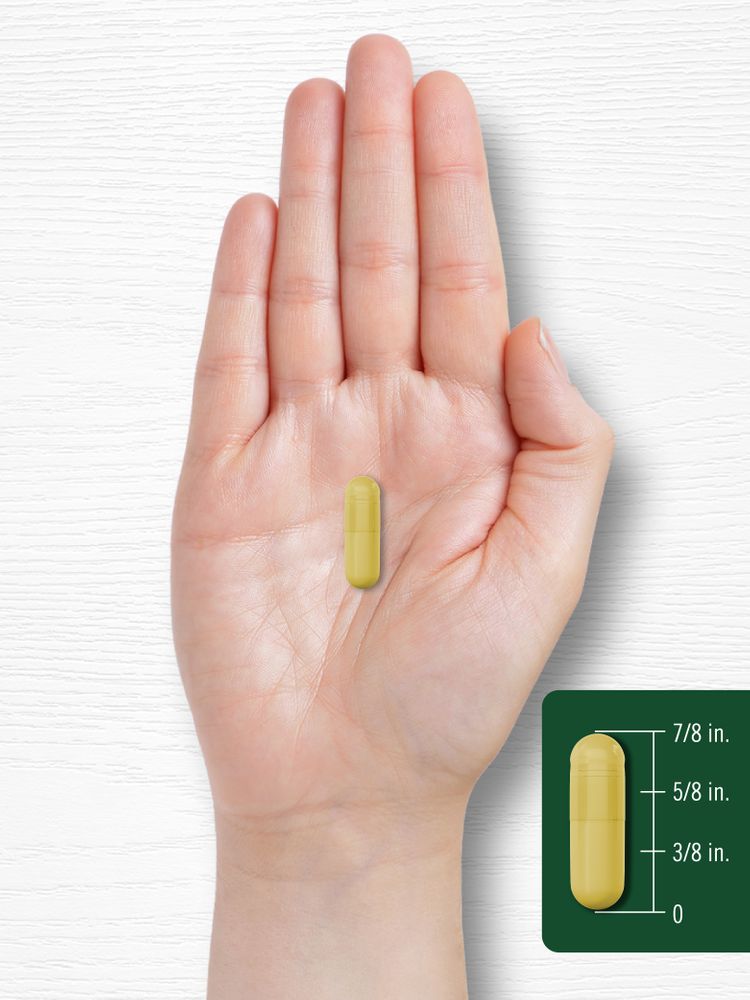 Berbérine 500000mcg par portion | 60 Capsules