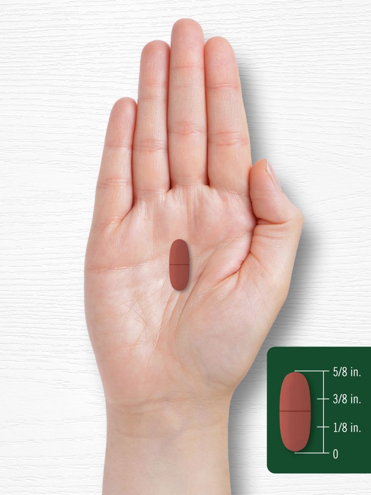 Cranberry 500mg | 100 Tabletten