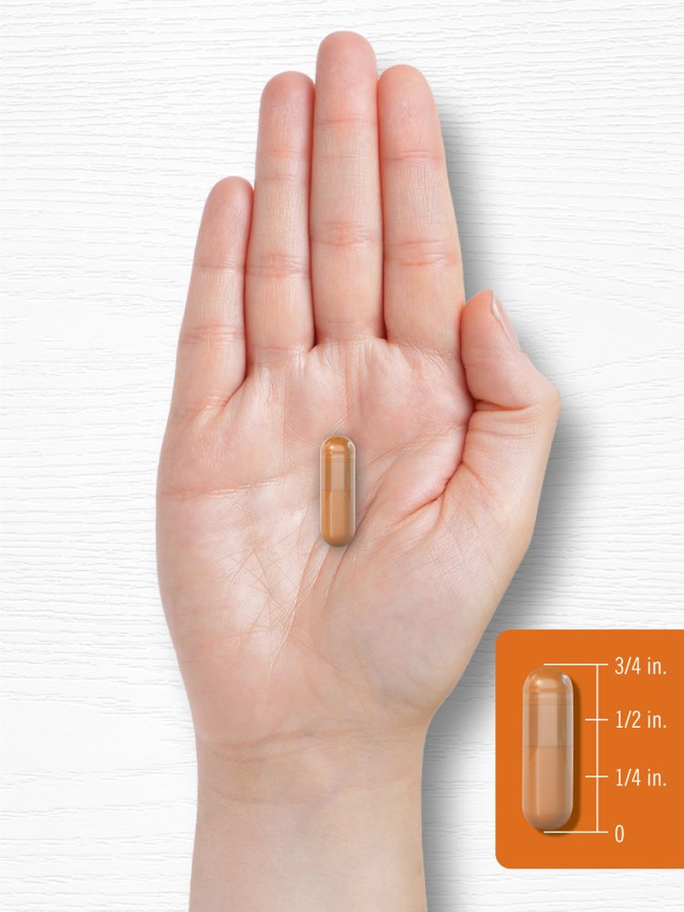 Complexo de Cúrcuma Curcumina | 180 Cápsulas