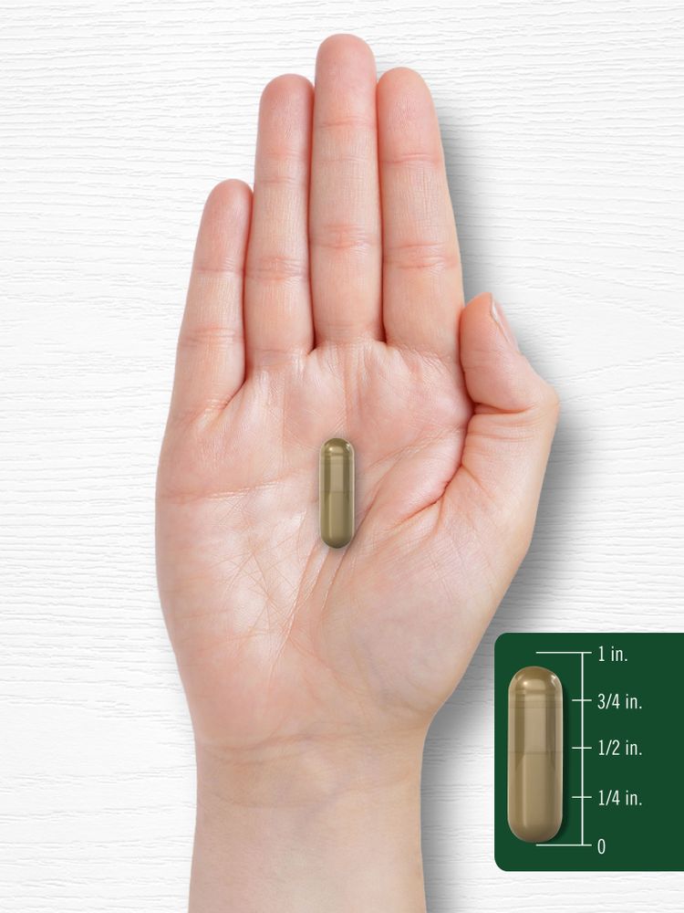 Complesso di Estratto di Ginseng 3930mg per porzione | 200 Capsule