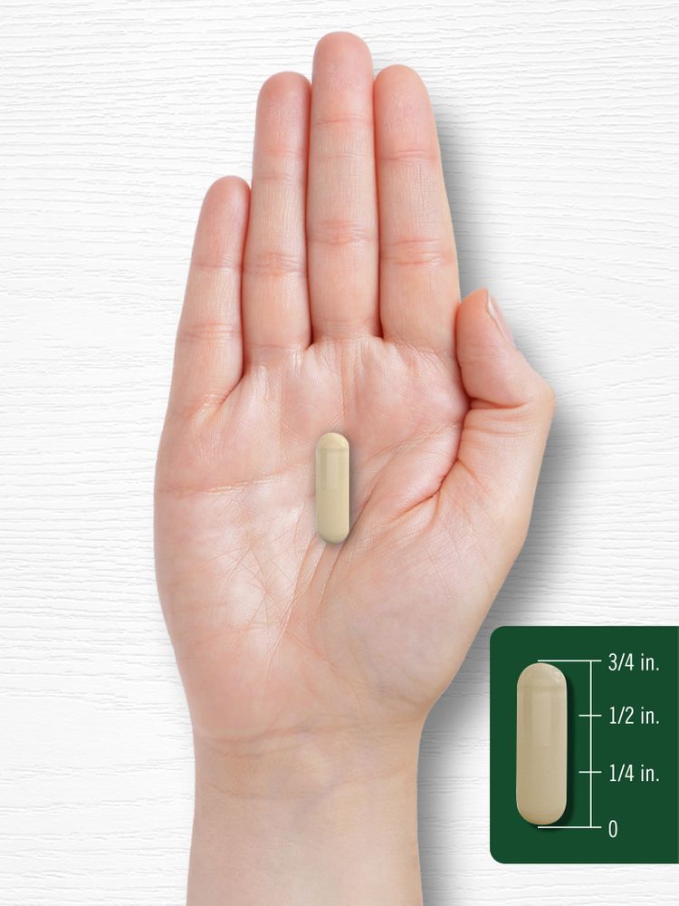 Kale Extract | 120 Capsules