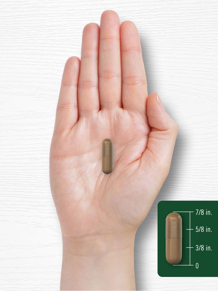Guarana | 200 Capsules