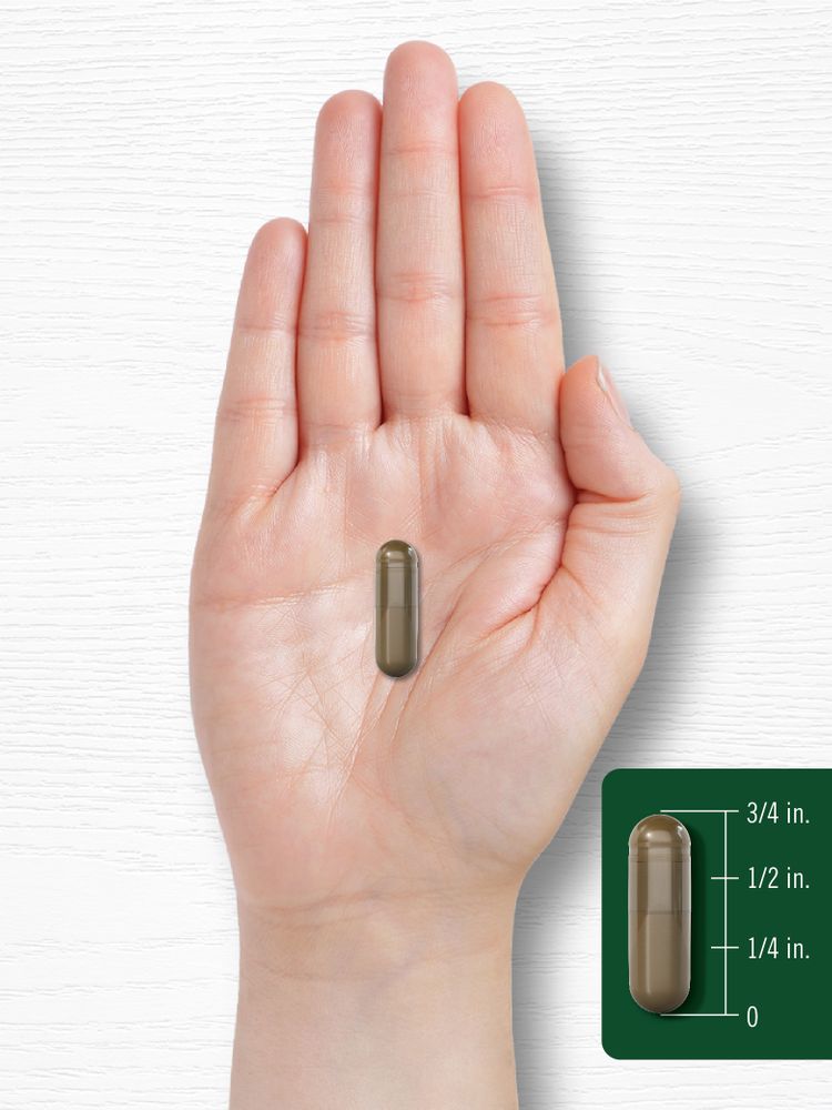 Banaba Leaf Extract | 200 Capsules