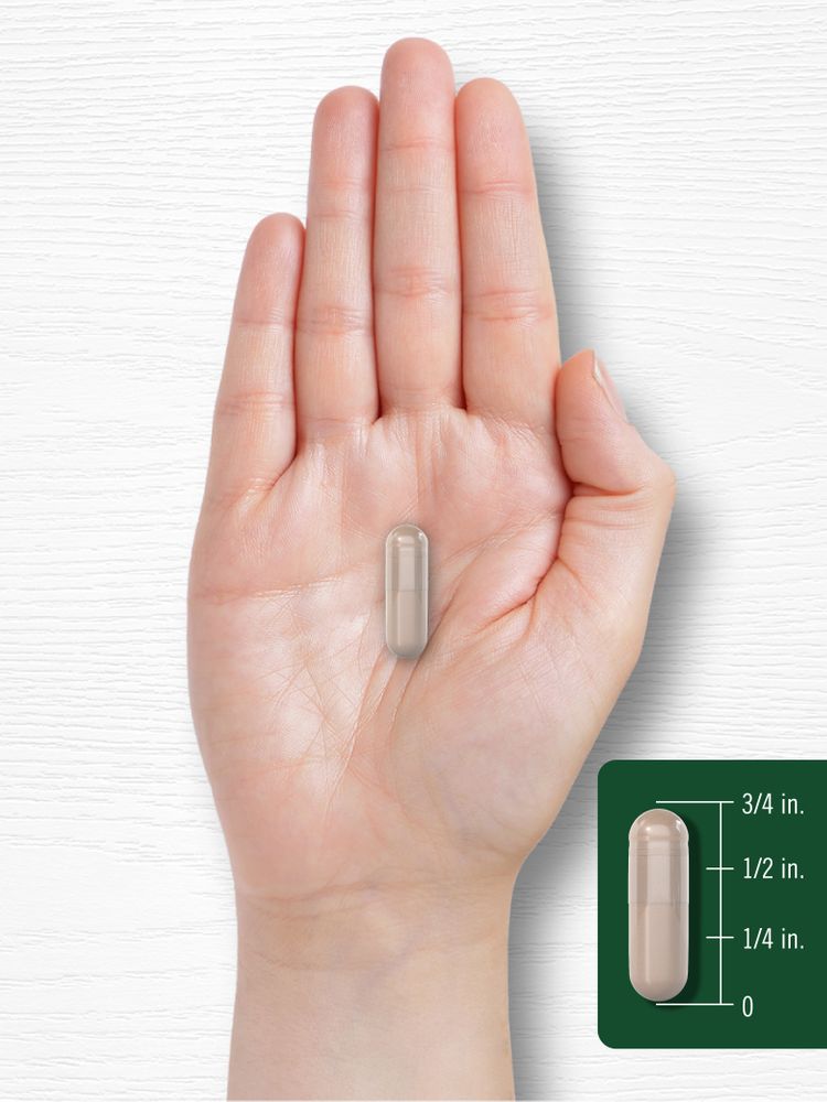 Cissus Quadrangularis | 200 Capsules