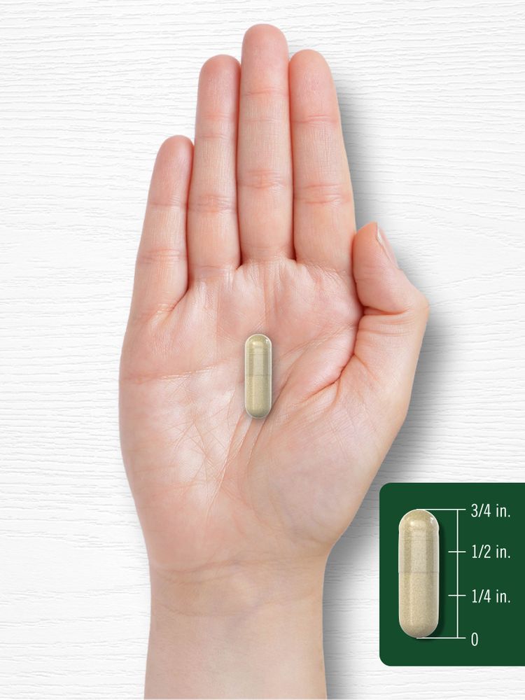 Red Raspberry Leaves 1200mg per serving | 120 Capsules