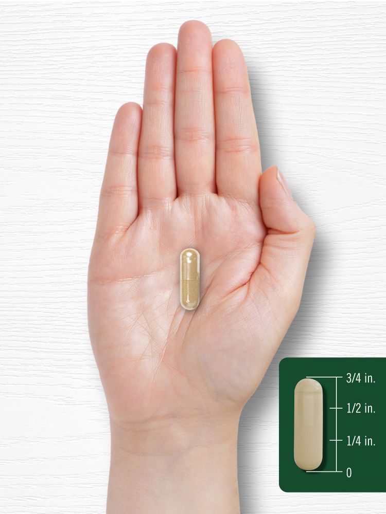 Extrait de Feuille d'Ortie Piquante | 300 Gélules