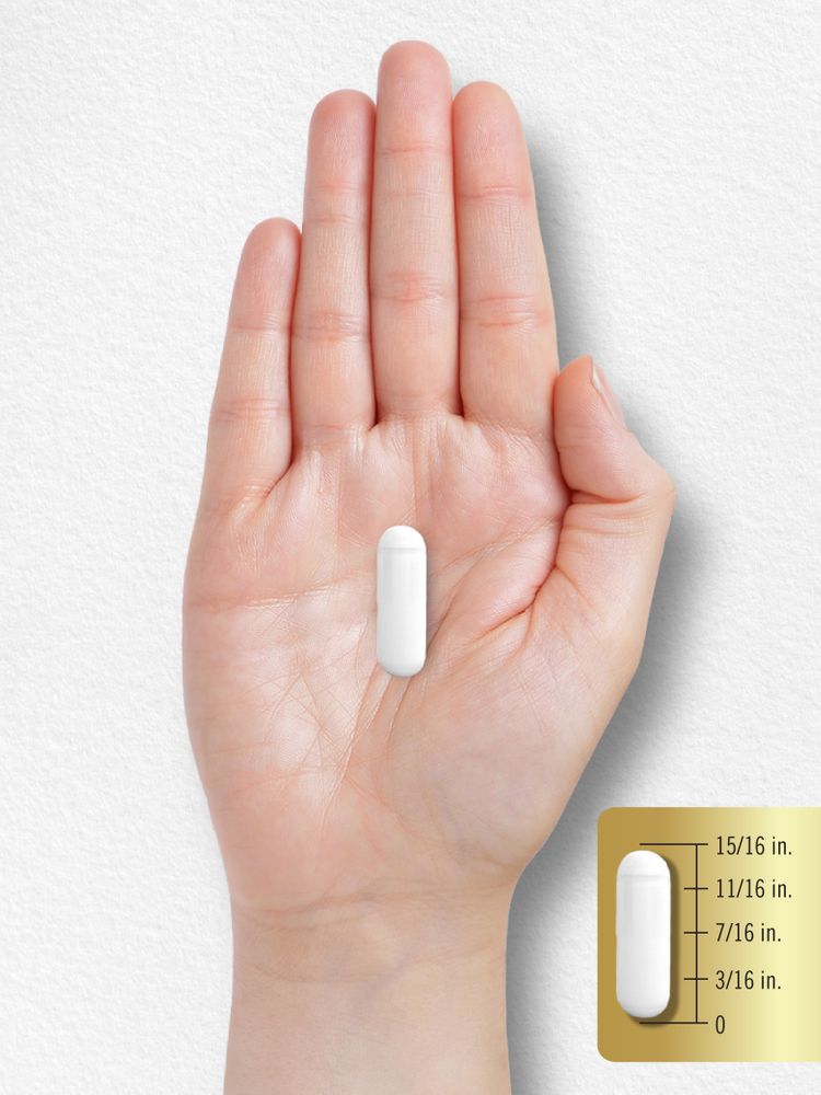BCAA 2000mg per serving | 400 Capsules