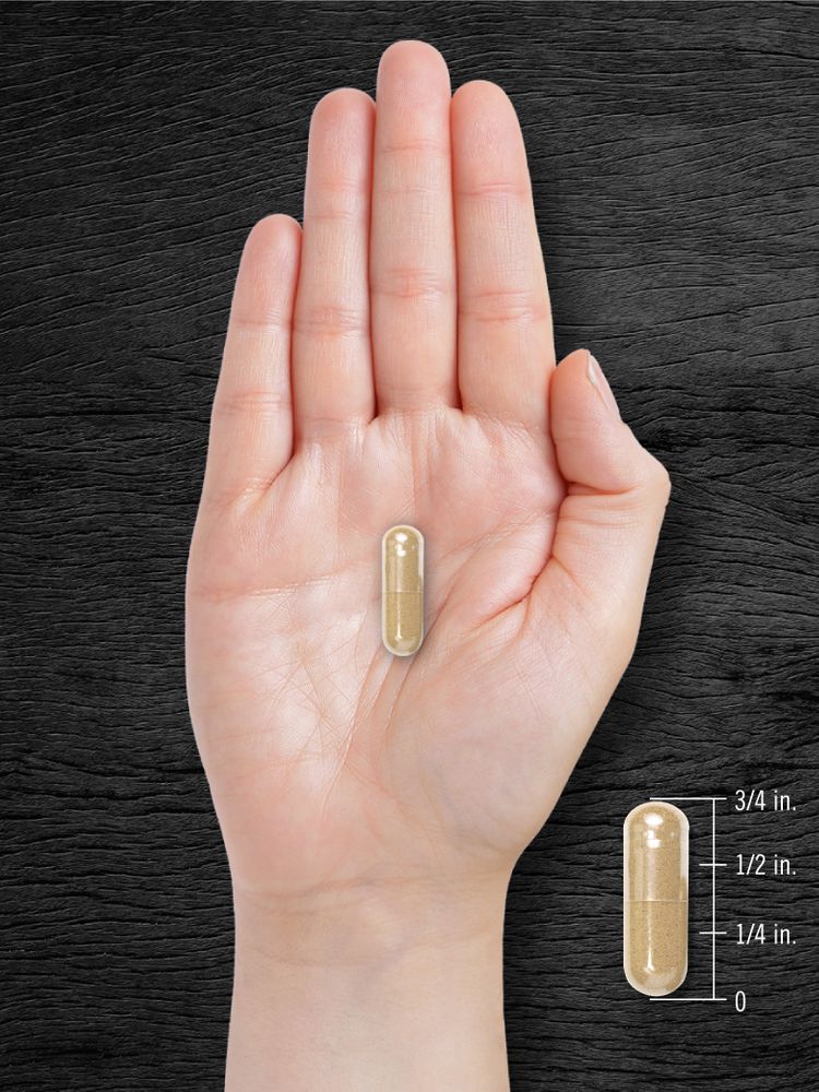 Pygeum Supplement | 240 Capsules