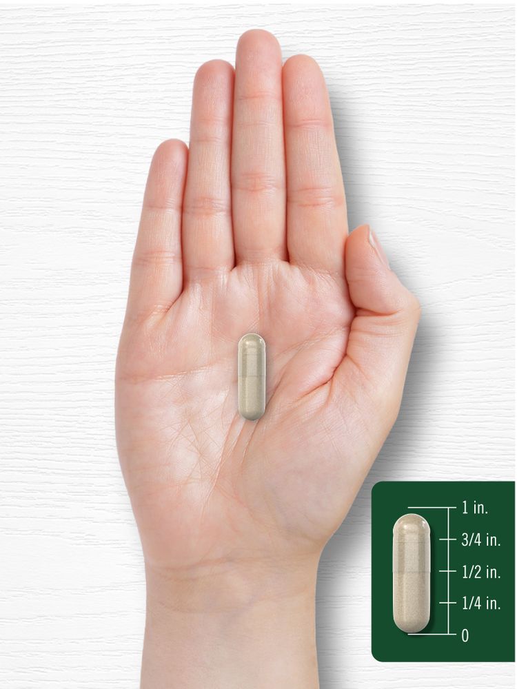 Silício 500mg | 200 Cápsulas