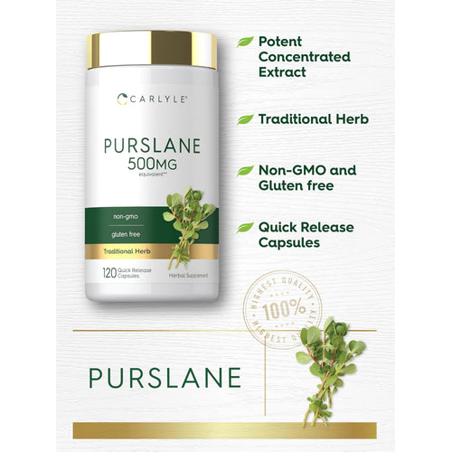 View 4 Product highlights graphic stating Potent Concentrated Extract, Traditional Herb, Non-GMO and Gluten free, Quick Release Capsules.