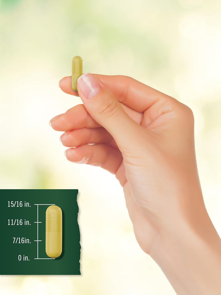 Curcumina di Curcuma 2400 mg per porzione | 400 Capsule