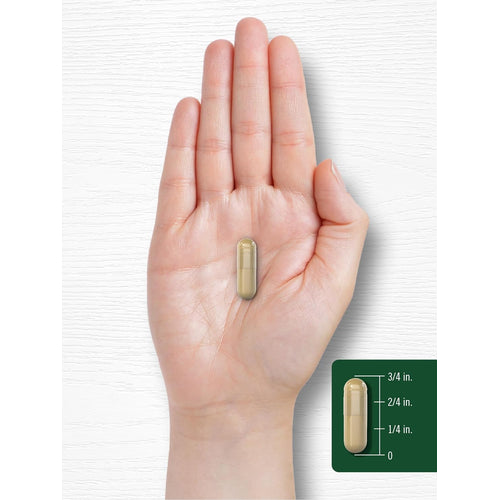 View 15 Fungo Shiitake | 200 Capsule