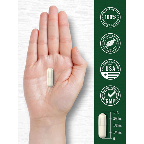 View 7 Sulforaphane Broccoli Sprout 400mcg | 180 Capsules