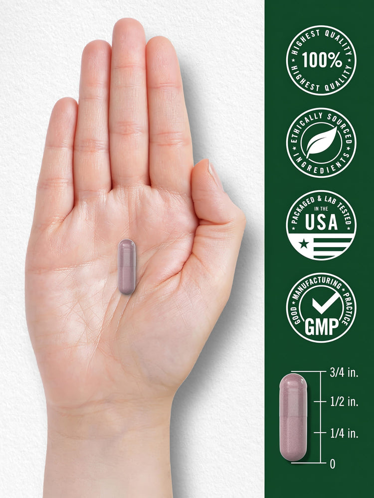 A 3/4 inch long hibiscus flower capsule held in hand for scale.