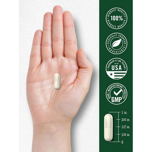 View 7 Off-white Carlyle Boswellia capsule, about 3/4 inch long, held in hand, with quality badges featured beside it.