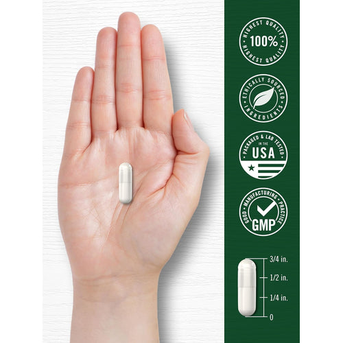 View 4 A hand holds a white capsule alongside a diagram indicating the capsule measures 3/4 inch.