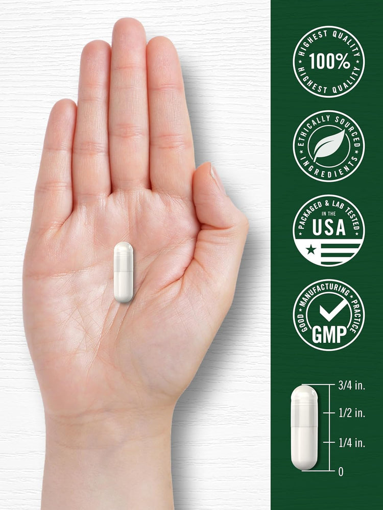 A hand holds a white capsule alongside a diagram indicating the capsule measures 3/4 inch.