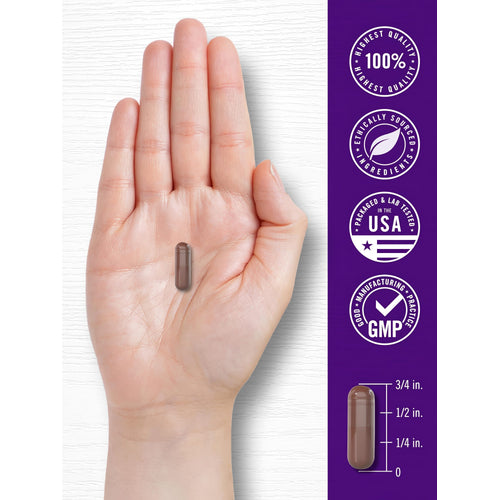 View 7 A brown capsule, measuring 3/4 inch long, rests on an outstretched hand, highlighting its size and detail for clarity.