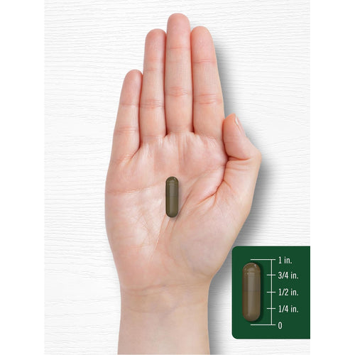 View 6 A hand holding a Triphala 1500 mg capsule measuring about 3/4 inch long against a bulk scale background.