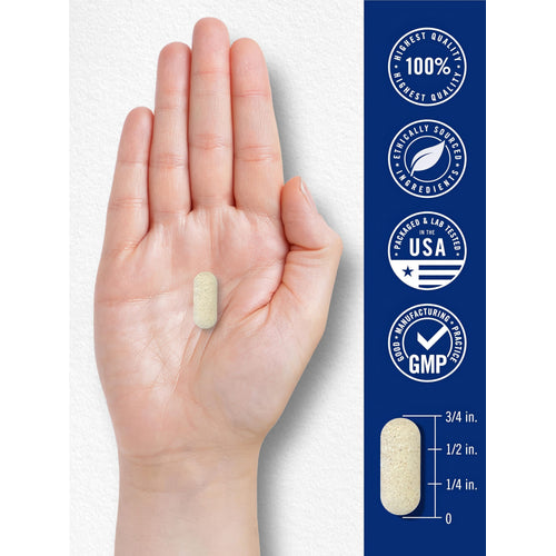 View 7 Pancreatin Digestive Enzymes capsule, 3000mg potency, measures 3/4 inch, displayed against a hand background for scale.