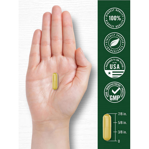 View 7 A yellow capsule rests in a hand, with a graphic displaying its size as 7/8 inch in length.