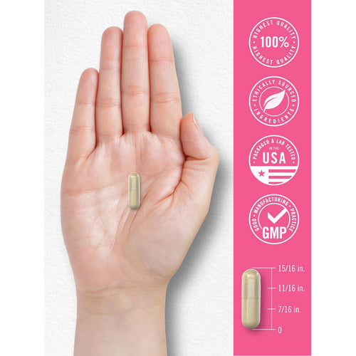 View 7 Carlyle Maca 3200mg capsule held in hand, measuring 15/16 in. total length, 11/16 in., and 7/16 in. for product size reference.