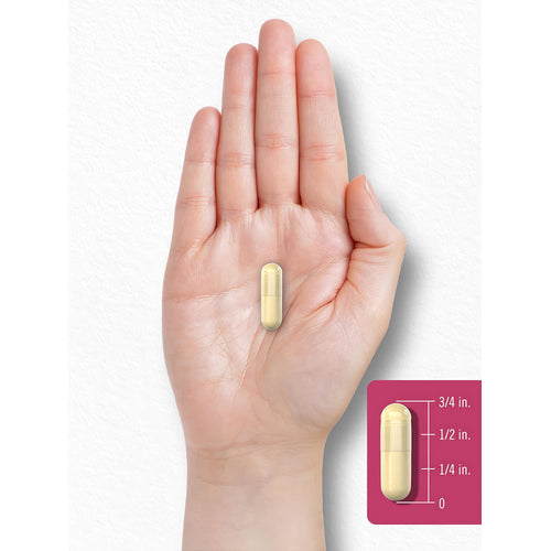 View 7 Menopause Support | 180 Capsules