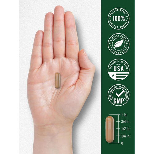 View 7 Champignon Reishi | 300 Capsules