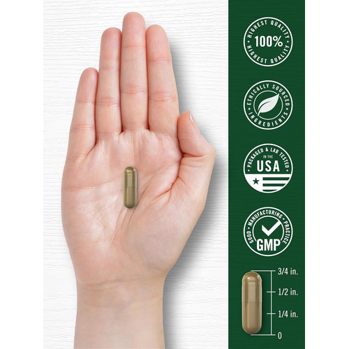 View 7 Sweet Wormwood | 200 Capsules