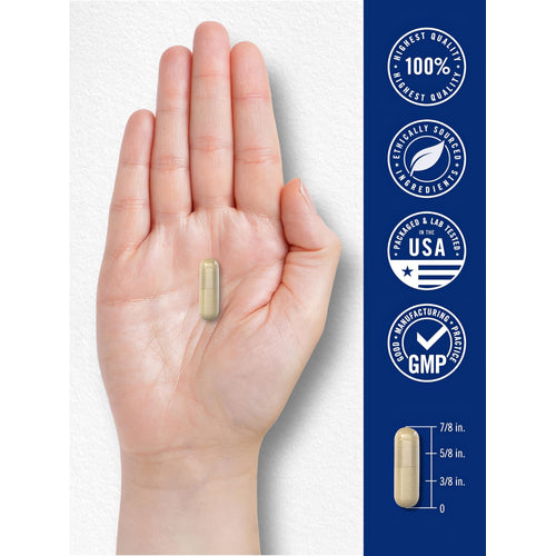 View 7 A hand holds a capsule that measures seven-eighths of an inch long.