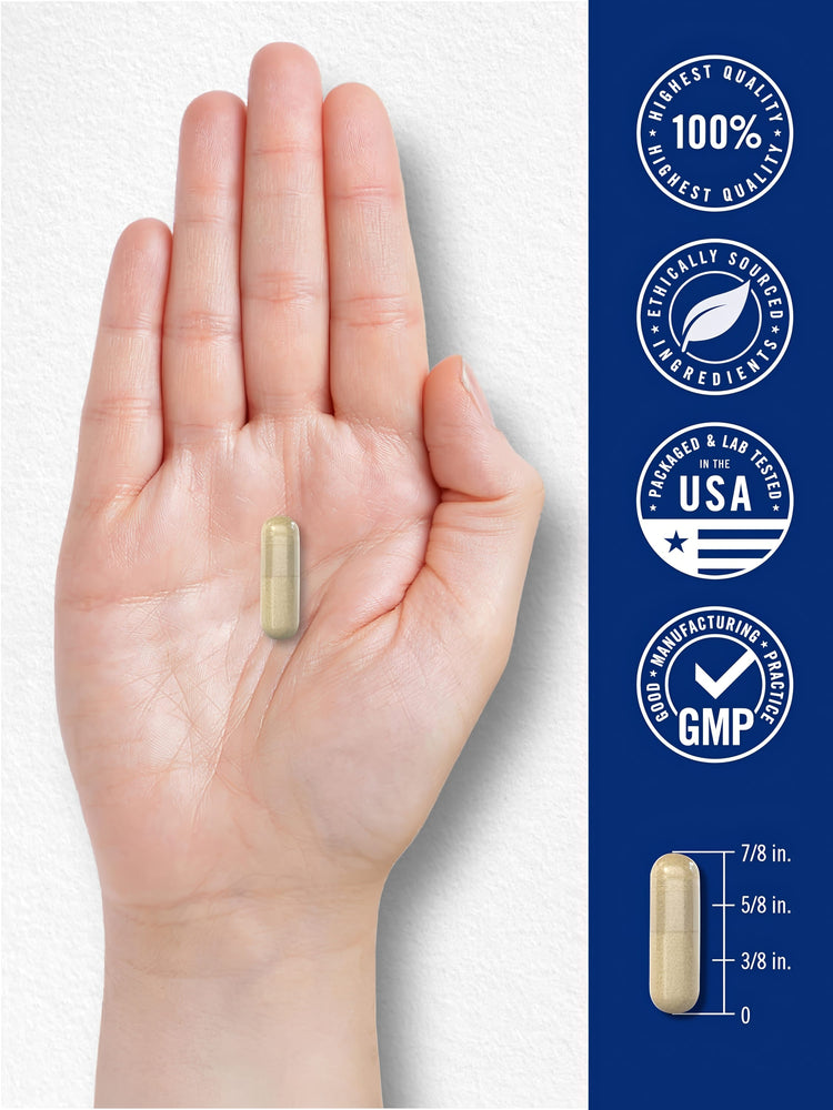 A hand holds a capsule that measures seven-eighths of an inch long.