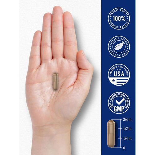 View 7 Blood Circulation Support Complex | 180 Capsules