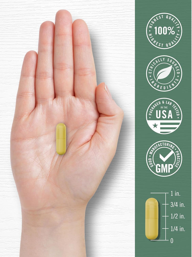 Raiz de Goldenseal 1000mg por porção | 200 Cápsulas