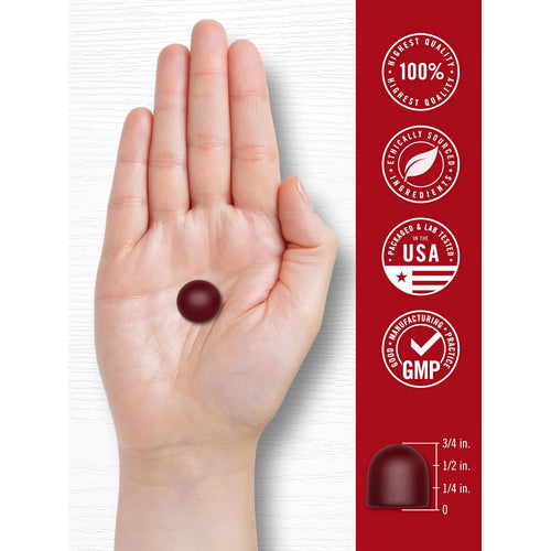 View 7 A single dark red Beet Root gummy is held in a hand, next to a scale showing its height as 3/4 inch.