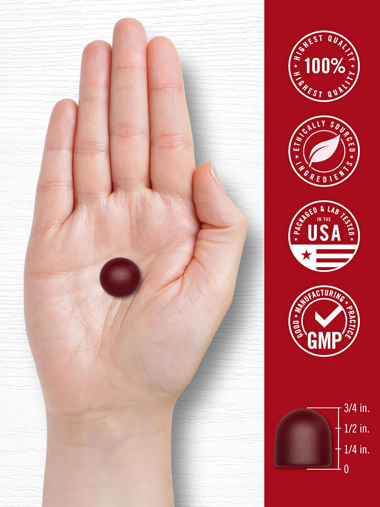 A single dark red Beet Root gummy is held in a hand, next to a scale showing its height as 3/4 inch.