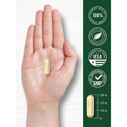 View 7 A light yellow capsule, 3/4 inch long, is held in a hand. It is 100% highest quality, ethically sourced, USA tested, GMP certified.