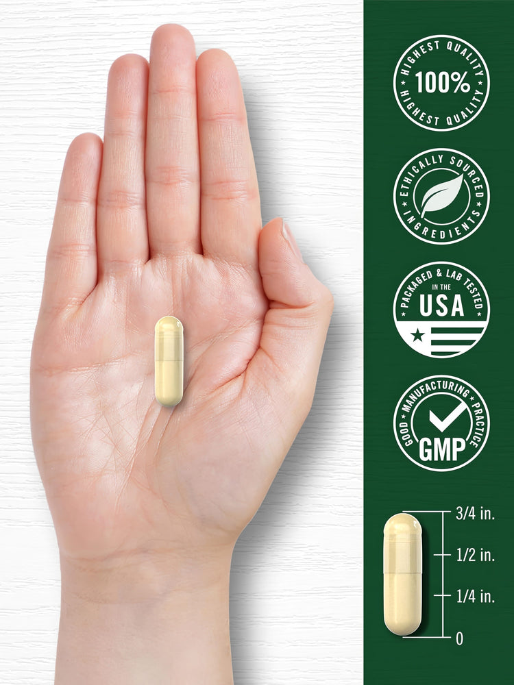 A light yellow capsule, 3/4 inch long, is held in a hand. It is 100% highest quality, ethically sourced, USA tested, GMP certified.