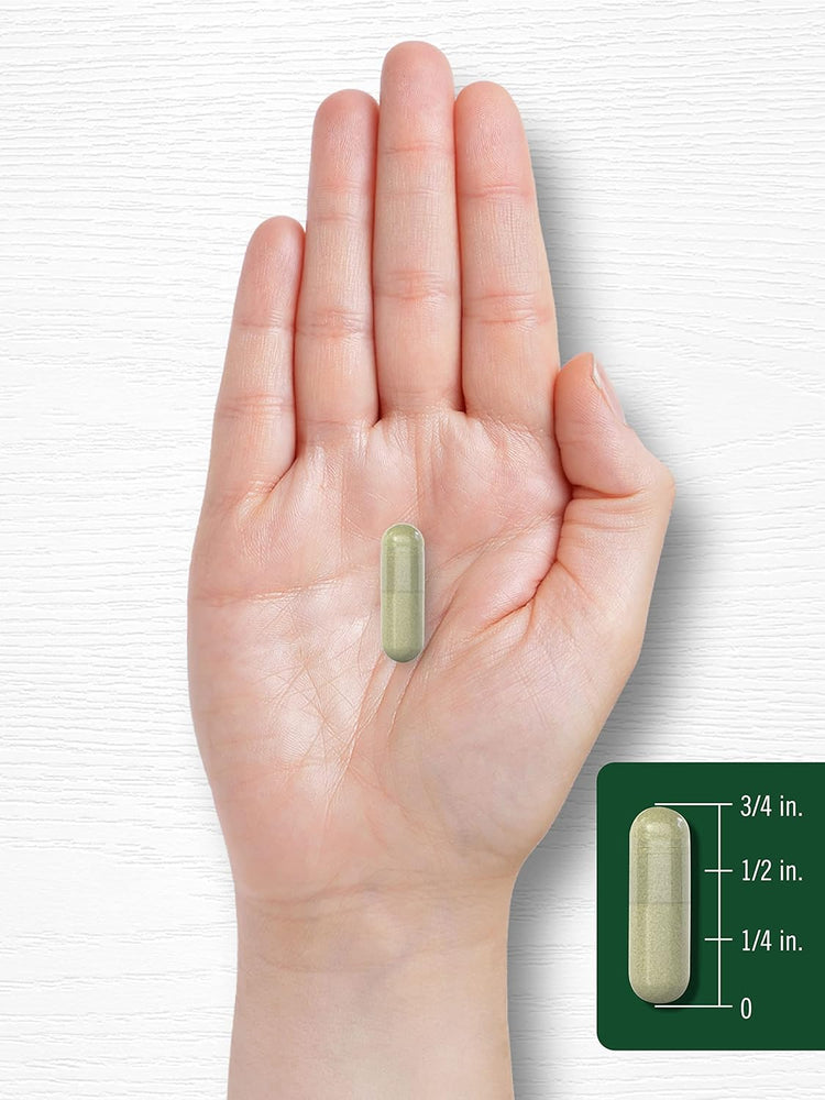 Indol-3-Carbinol 400 mg por porción | 120 Cápsulas