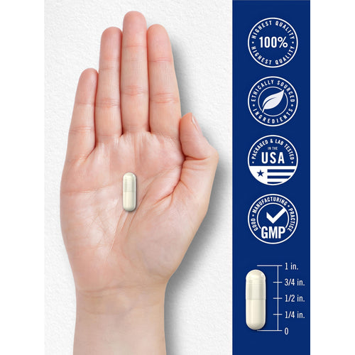 View 7 A cream-colored capsule is displayed in a hand and beside a scale showing it is 3/4 inch long.