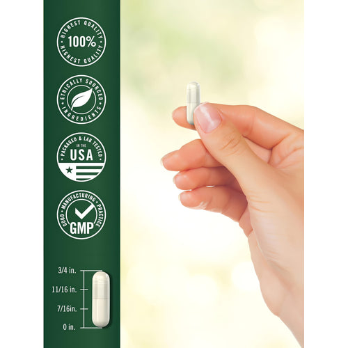 View 7 A white capsule is held between fingers, with a size diagram showing its overall length as 11/16 inches.