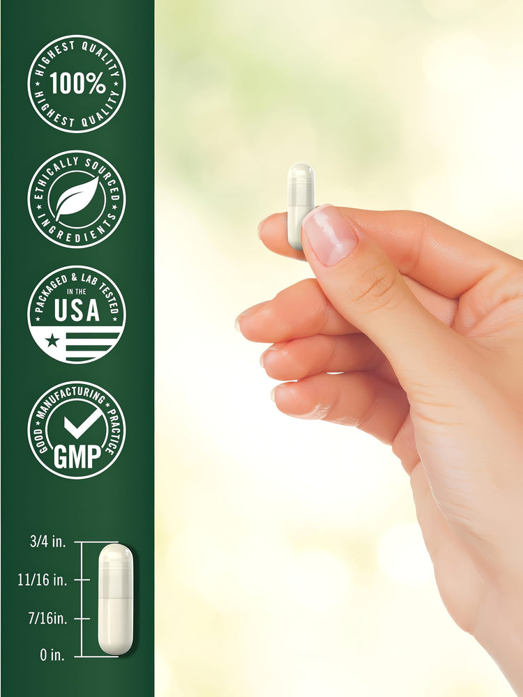A white capsule is held between fingers, with a size diagram showing its overall length as 11/16 inches.